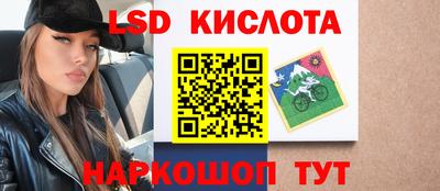 гидропоника Чебоксары