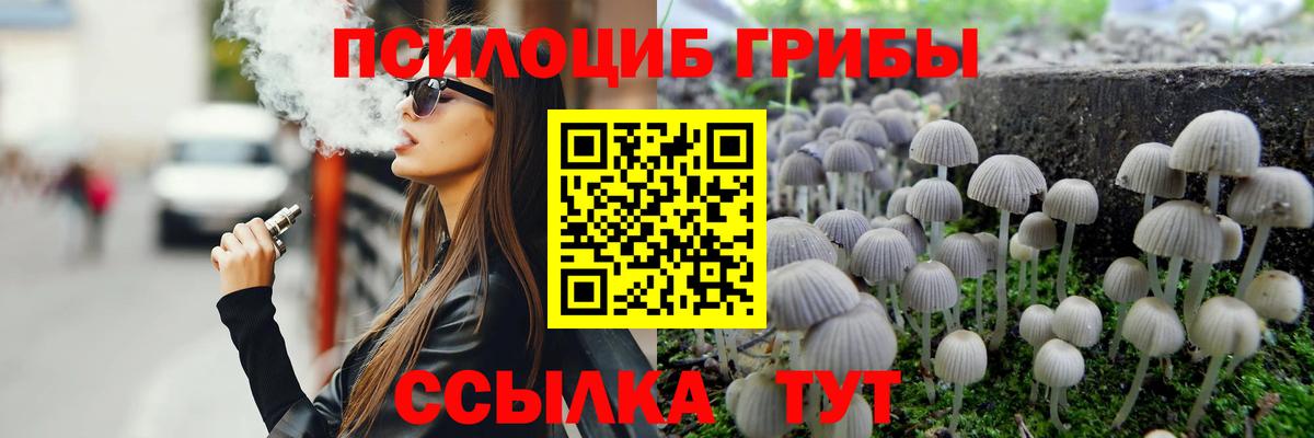 Галлюциногенные грибы Cubensis Кулебаки