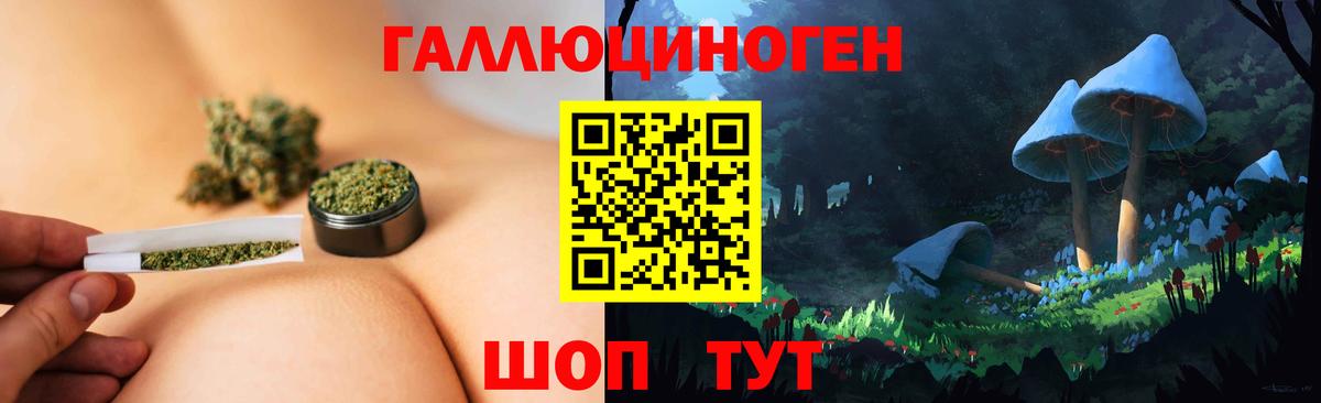 Псилоцибиновые грибы Psilocybine cubensis  Псилоцибиновые грибы ЛСД  Кулебаки  Вход с VPN 